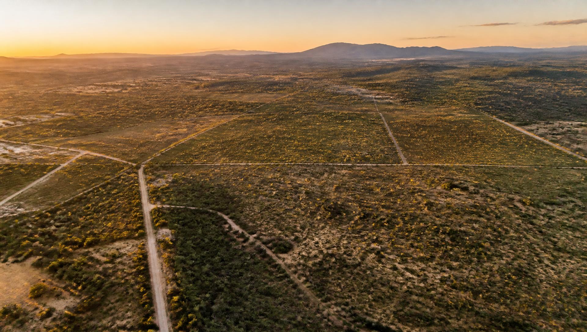 Fotografía aérea de una extensión de tierra con polígonos, caminos y sierra al fondo